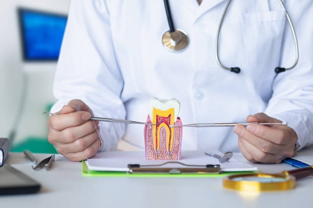 Best 24-Hour Emergency Dental Care in Standish, MI
